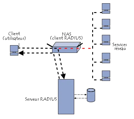 schema radius